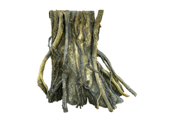 Mangrove Root R2